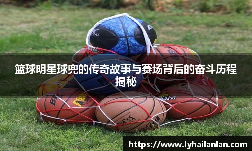 必一体育官方网站